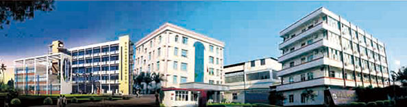 興業(yè)皮革科技股份有限公司在深交所成功上市（1992年，公司參股興業(yè)皮革廠，成為主要股東之一）。